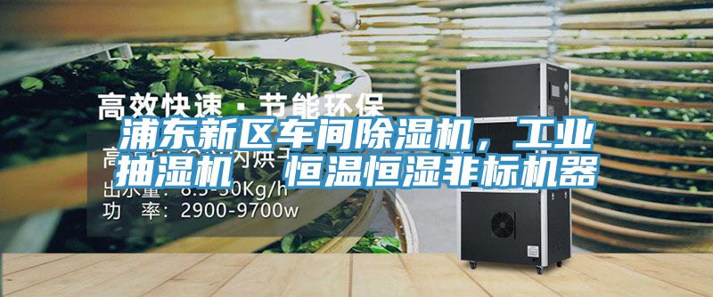 浦東新區(qū)車間除濕機(jī)，工業(yè)抽濕機(jī)  恒溫恒濕非標(biāo)機(jī)器
