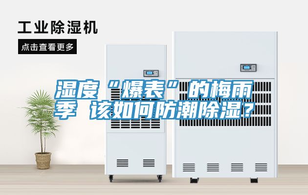 濕度“爆表”的梅雨季 該如何防潮除濕？
