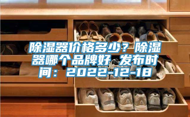 除濕器價格多少？除濕器哪個品牌好 發(fā)布時間：2022-12-18