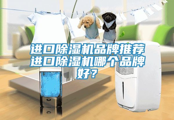 進口除濕機品牌推薦進口除濕機哪個品牌好？