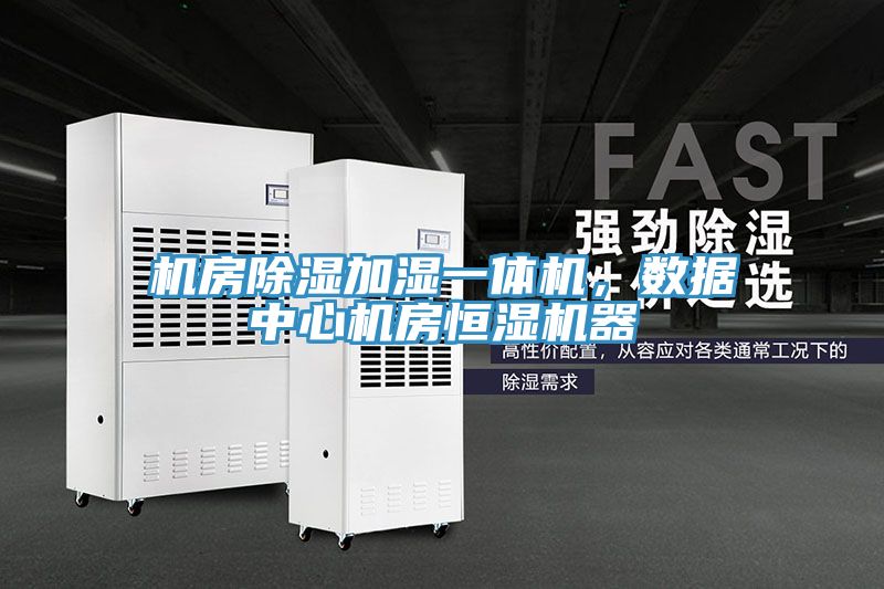 機(jī)房除濕加濕一體機(jī)，數(shù)據(jù)中心機(jī)房恒濕機(jī)器