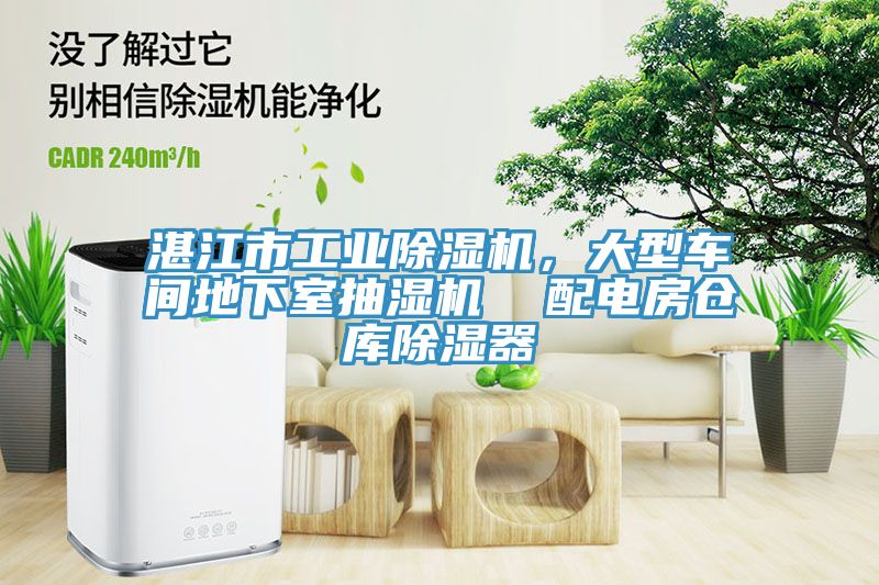 湛江市工業(yè)除濕機，大型車間地下室抽濕機  配電房倉庫除濕器
