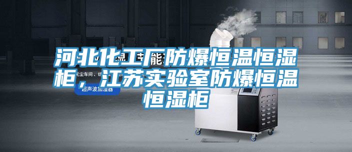 河北化工廠防爆恒溫恒濕柜，江蘇實(shí)驗(yàn)室防爆恒溫恒濕柜