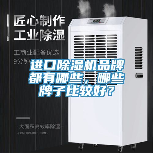 進口除濕機品牌都有哪些，哪些牌子比較好？