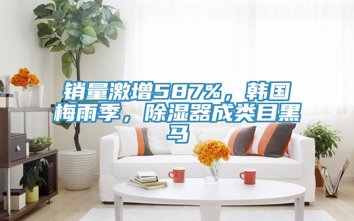 銷量激增587%，韓國梅雨季，除濕器成類目黑馬