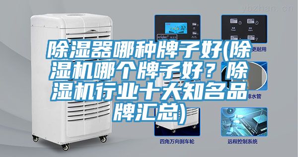 除濕器哪種牌子好(除濕機(jī)哪個(gè)牌子好？除濕機(jī)行業(yè)十大知名品牌匯總)