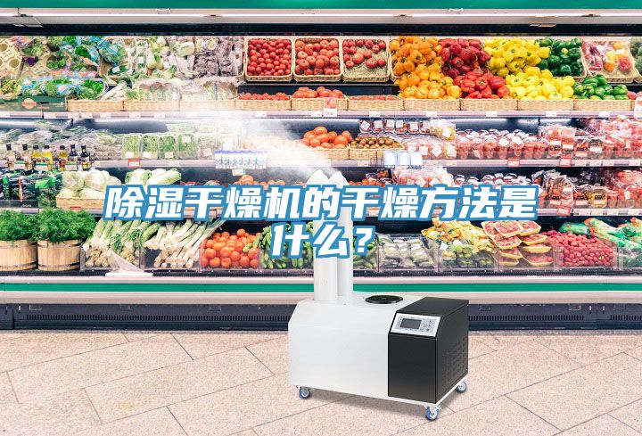 除濕干燥機的干燥方法是什么？