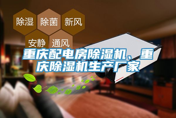 重慶配電房除濕機(jī)、重慶除濕機(jī)生產(chǎn)廠家