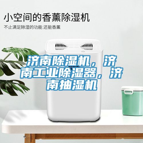 濟南除濕機，濟南工業(yè)除濕器，濟南抽濕機