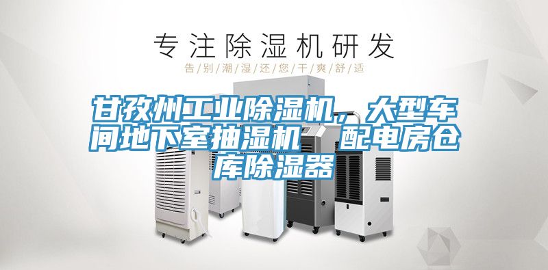 甘孜州工業(yè)除濕機，大型車間地下室抽濕機  配電房倉庫除濕器