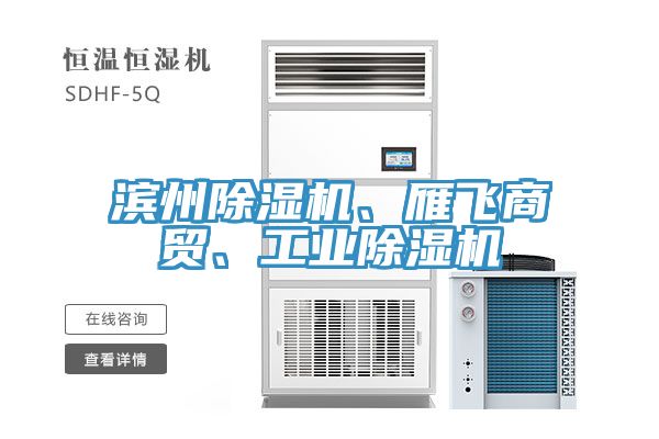 濱州除濕機(jī)、雁飛商貿(mào)、工業(yè)除濕機(jī)