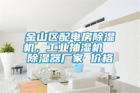金山區(qū)配電房除濕機，工業(yè)抽濕機  除濕器廠家 價格