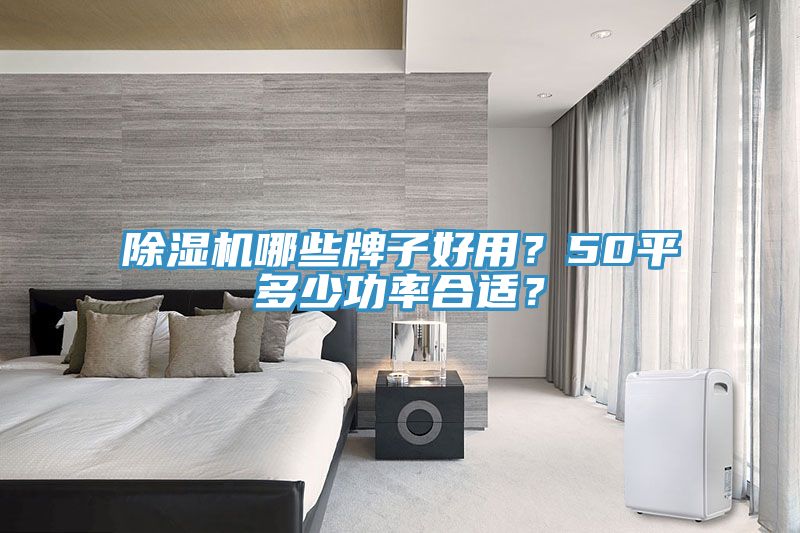 除濕機哪些牌子好用？50平多少功率合適？