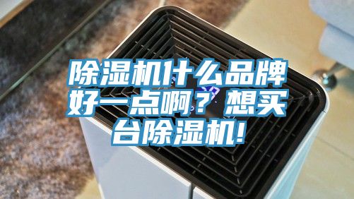 除濕機(jī)什么品牌好一點(diǎn)?。肯胭I(mǎi)臺(tái)除濕機(jī)!