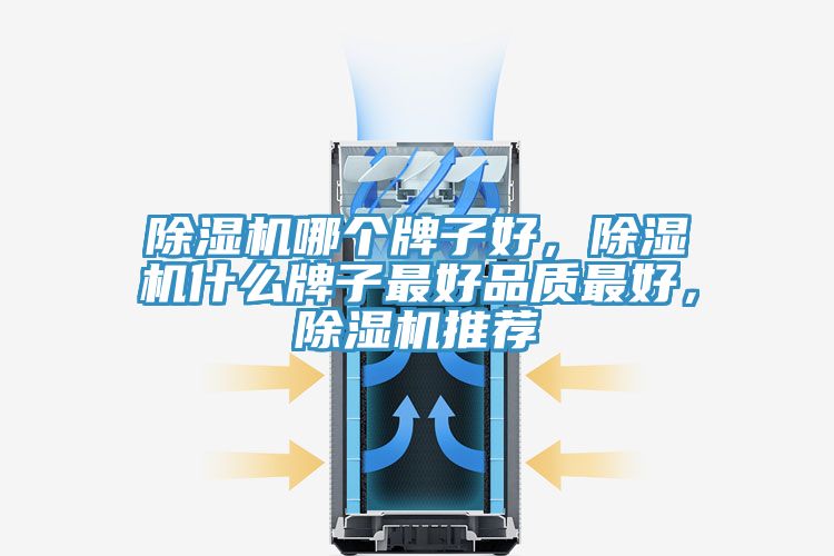 除濕機哪個牌子好，除濕機什么牌子最好品質最好，除濕機推薦