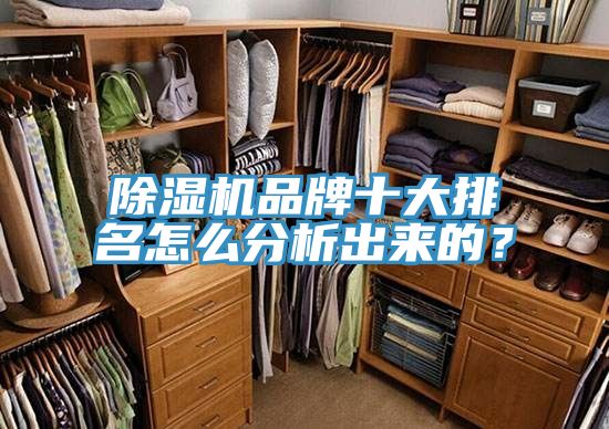 除濕機品牌十大排名怎么分析出來的？