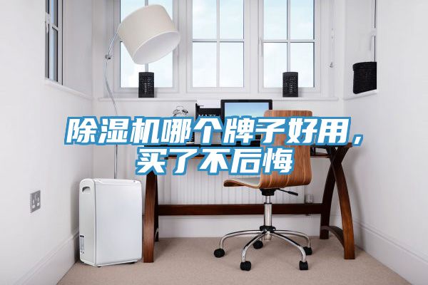 除濕機哪個牌子好用，買了不后悔