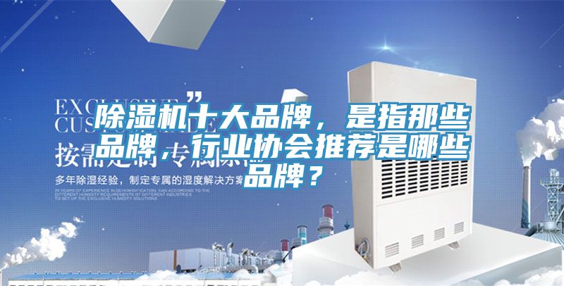 除濕機(jī)十大品牌，是指那些品牌，行業(yè)協(xié)會推薦是哪些品牌？