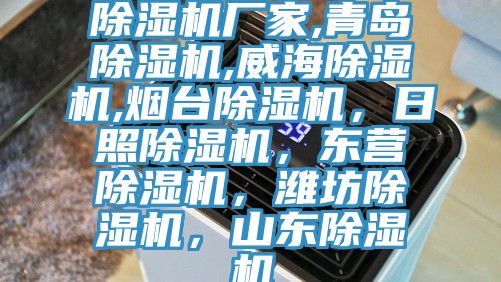 除濕機(jī)廠家,青島除濕機(jī),威海除濕機(jī),煙臺(tái)除濕機(jī)，日照除濕機(jī)，東營(yíng)除濕機(jī)，濰坊除濕機(jī)，山東除濕機(jī)