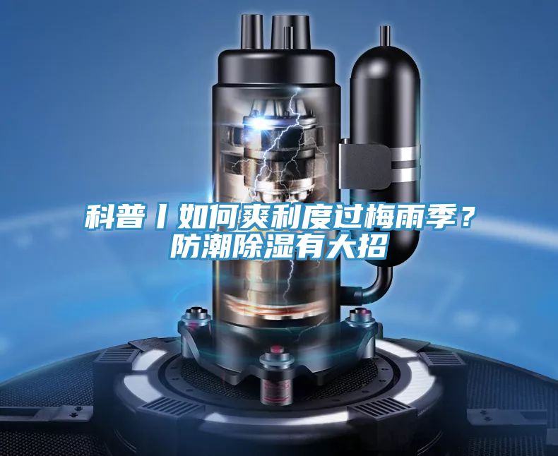 科普丨如何爽利度過(guò)梅雨季？防潮除濕有大招