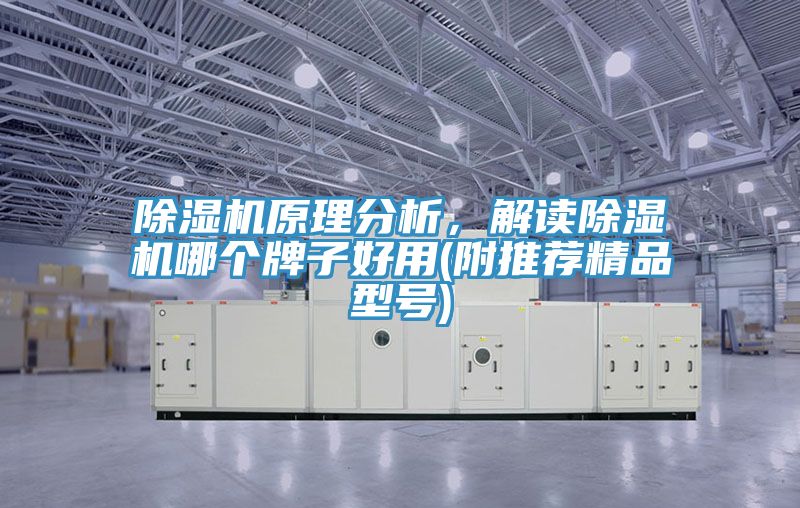 除濕機(jī)原理分析，解讀除濕機(jī)哪個(gè)牌子好用(附推薦精品型號(hào))