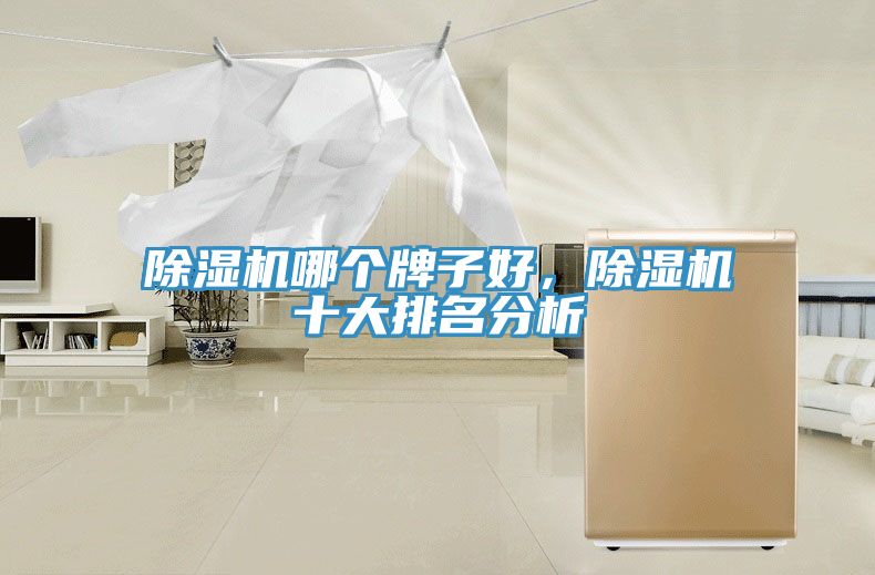 除濕機哪個牌子好，除濕機十大排名分析