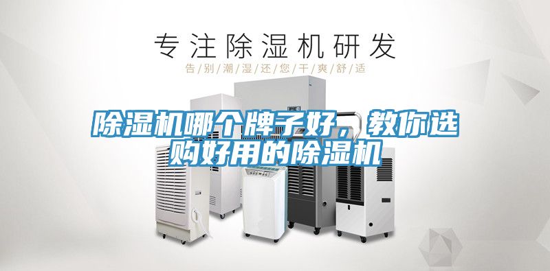 除濕機哪個牌子好，教你選購好用的除濕機