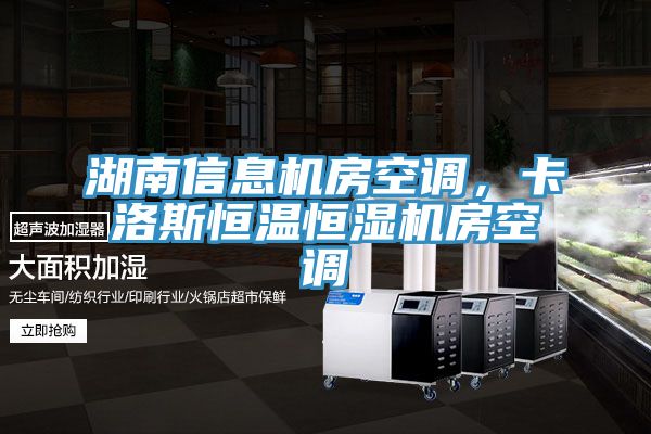 湖南信息機(jī)房空調(diào)，卡洛斯恒溫恒濕機(jī)房空調(diào)