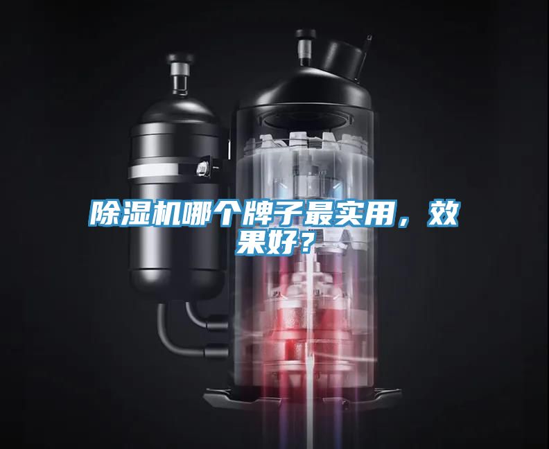 除濕機(jī)哪個(gè)牌子最實(shí)用，效果好？