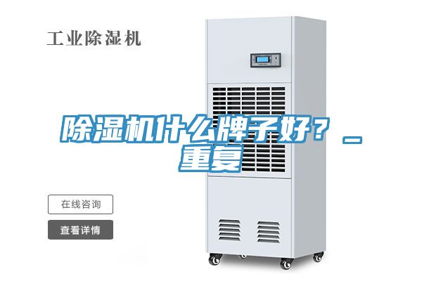 除濕機什么牌子好？_重復