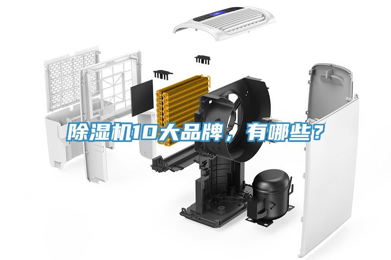 除濕機(jī)10大品牌，有哪些？
