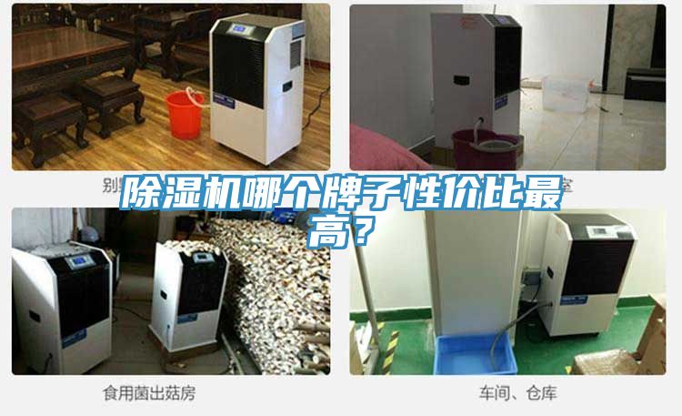 除濕機哪個牌子性價比最高？