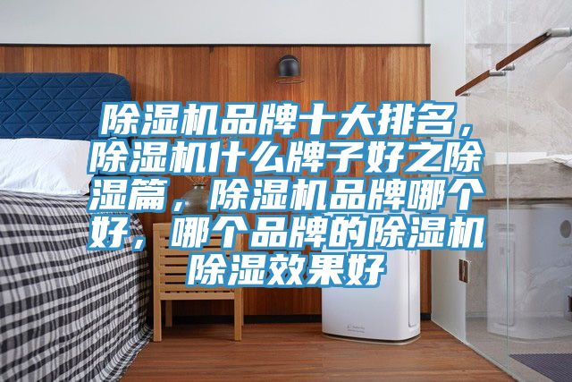 除濕機(jī)品牌十大排名，除濕機(jī)什么牌子好之除濕篇，除濕機(jī)品牌哪個好，哪個品牌的除濕機(jī)除濕效果好