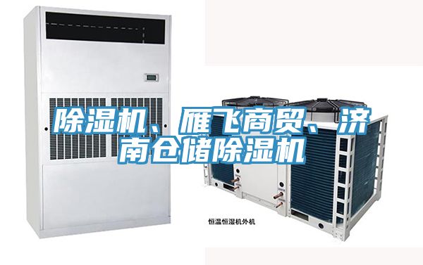 除濕機、雁飛商貿、濟南倉儲除濕機