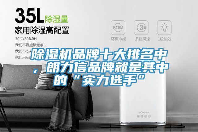 除濕機品牌十大排名中，朗力信品牌就是其中的“實力選手”
