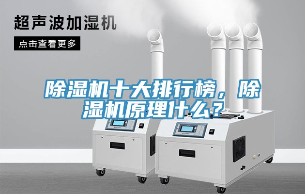 除濕機(jī)十大排行榜，除濕機(jī)原理什么？