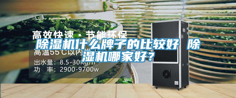 除濕機什么牌子的比較好 除濕機哪家好？