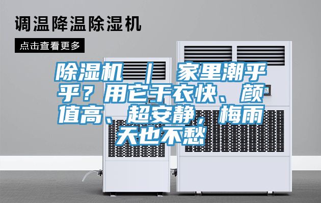 除濕機(jī) ｜ 家里潮乎乎？用它干衣快、顏值高、超安靜，梅雨天也不愁