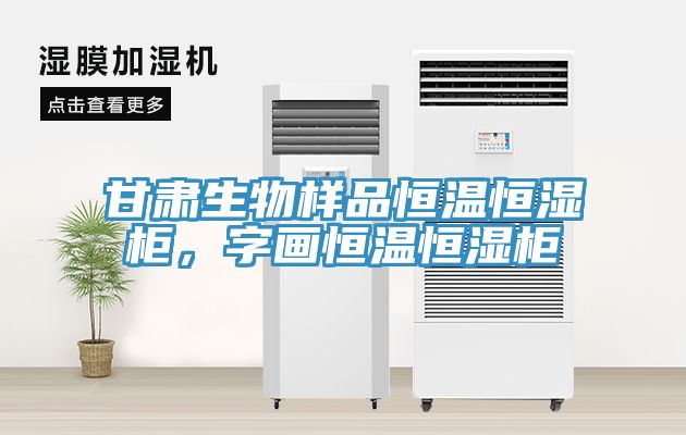 甘肅生物樣品恒溫恒濕柜，字畫(huà)恒溫恒濕柜