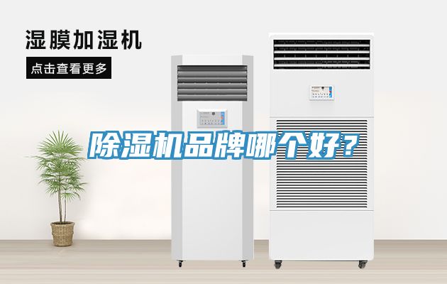 除濕機(jī)品牌哪個(gè)好？