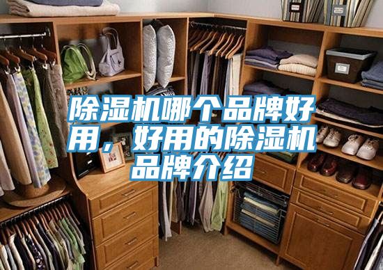除濕機哪個品牌好用，好用的除濕機品牌介紹
