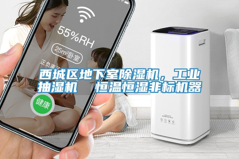 西城區(qū)地下室除濕機(jī)，工業(yè)抽濕機(jī)  恒溫恒濕非標(biāo)機(jī)器