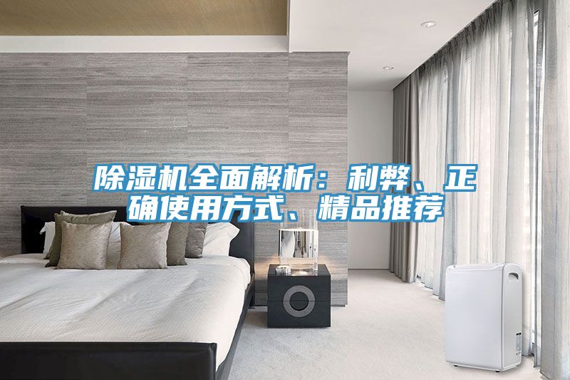 除濕機(jī)全面解析：利弊、正確使用方式、精品推薦