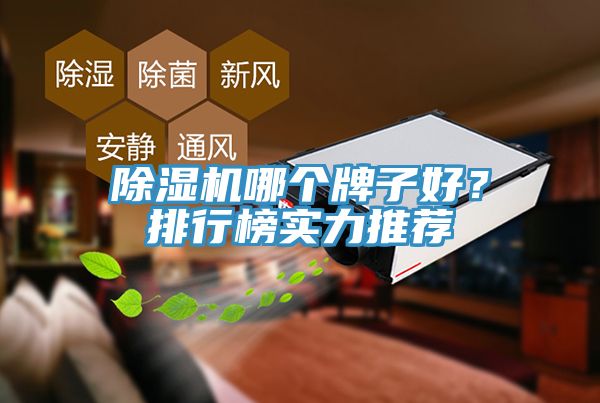 除濕機哪個牌子好？排行榜實力推薦