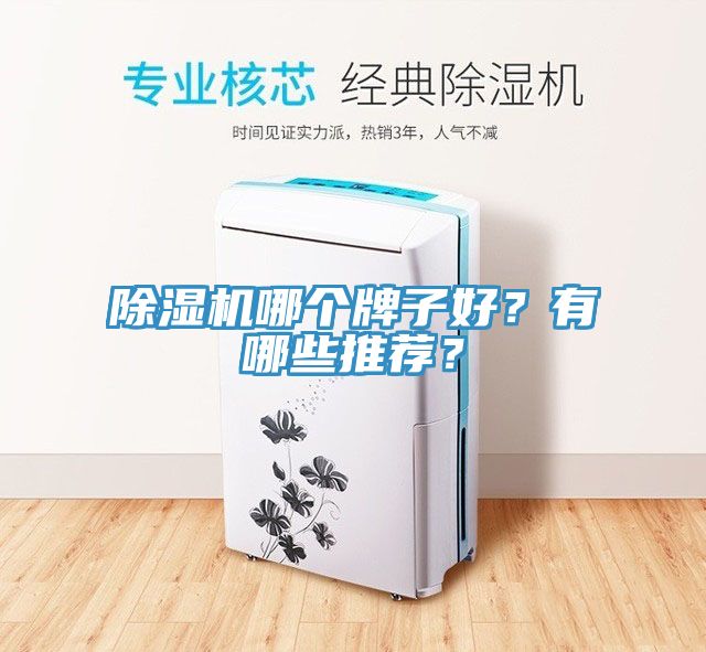 除濕機哪個牌子好？有哪些推薦？