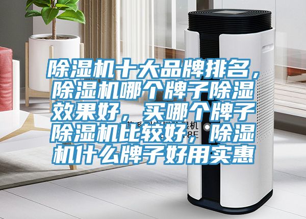 除濕機十大品牌排名，除濕機哪個牌子除濕效果好，買哪個牌子除濕機比較好，除濕機什么牌子好用實惠