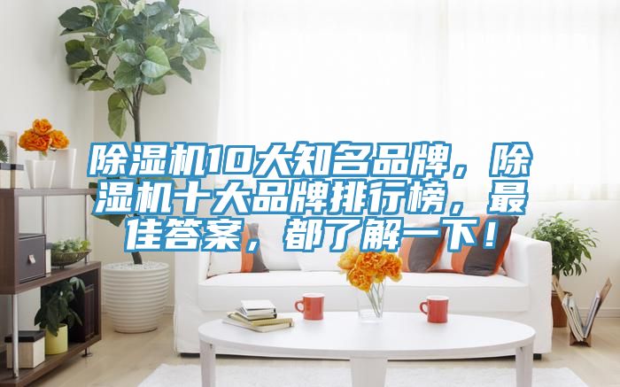 除濕機(jī)10大知名品牌，除濕機(jī)十大品牌排行榜，最佳答案，都了解一下！