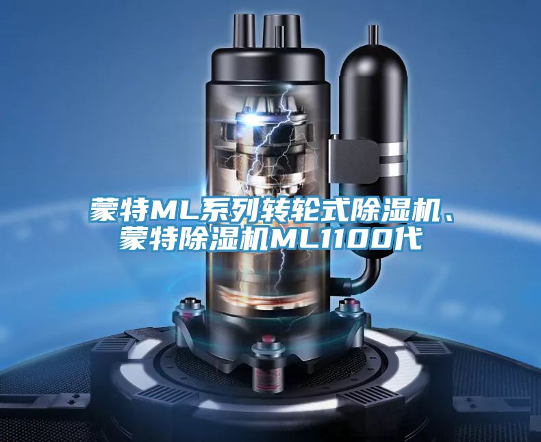 蒙特ML系列轉(zhuǎn)輪式除濕機(jī)、蒙特除濕機(jī)ML1100代