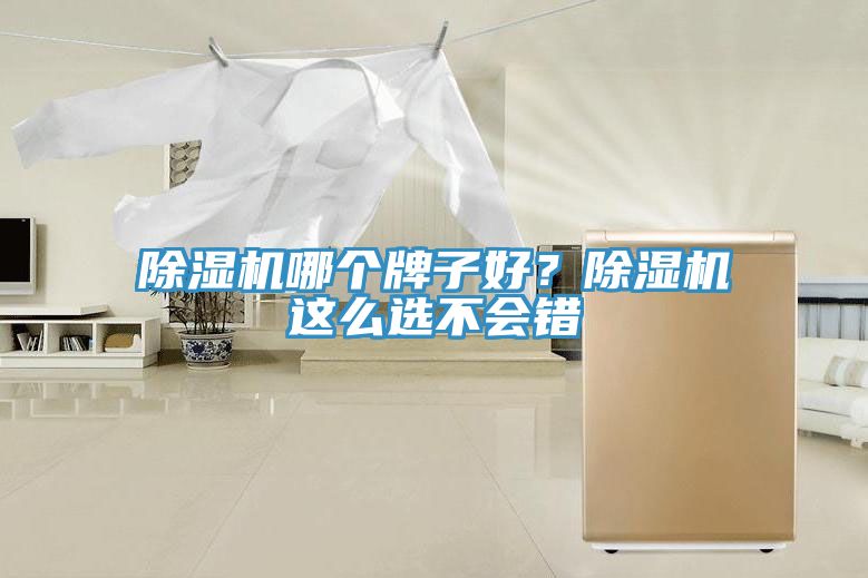 除濕機哪個牌子好？除濕機這么選不會錯