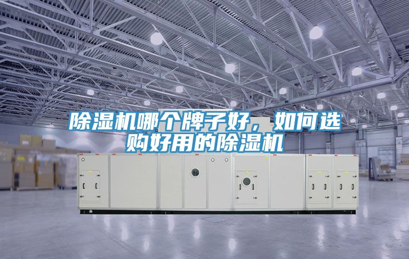 除濕機哪個牌子好，如何選購好用的除濕機